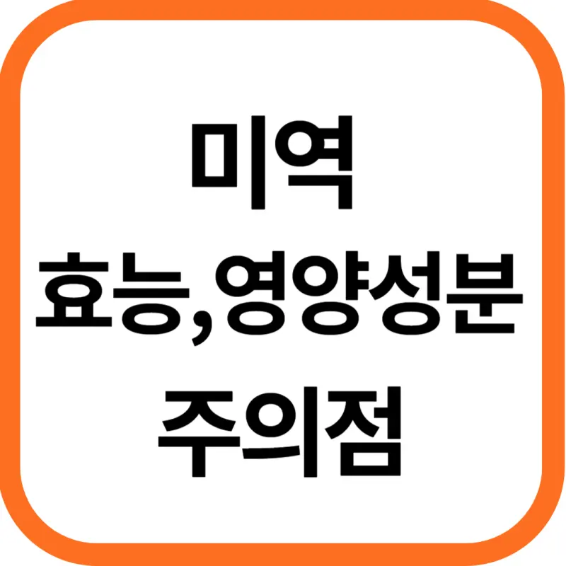 미역 효능 및 영양성분&#44; 주의점