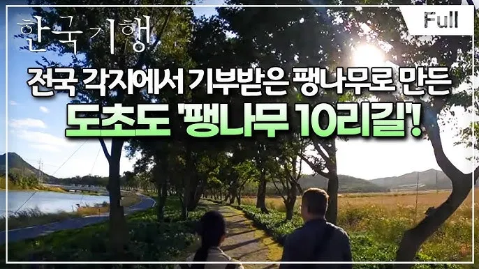 도초도 배시간표 신안 배편 요금 예매_7