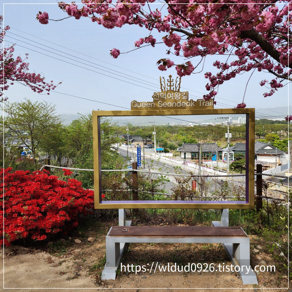 경주-선덕여왕길-겹벚꽃길