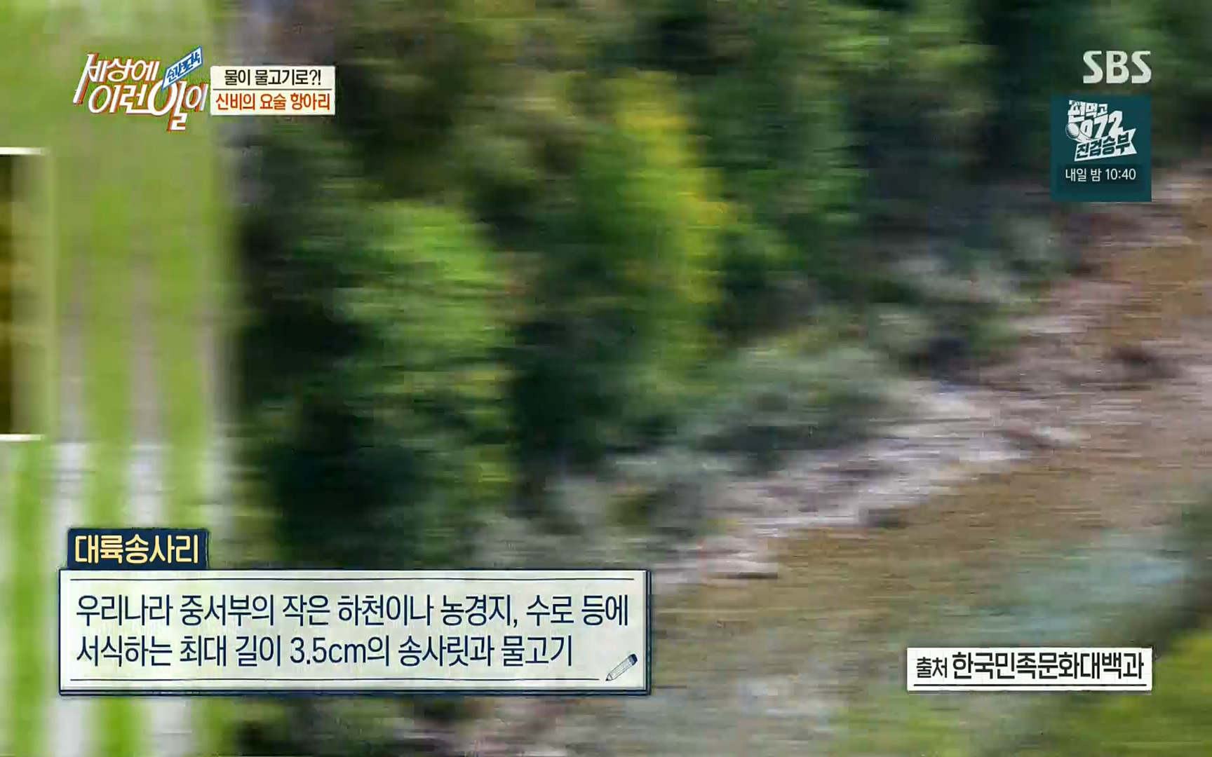 순간포착 세상에 이런일이.E1196.220906p.H264-F1RST.mp4_20220907_202254.438.jpg