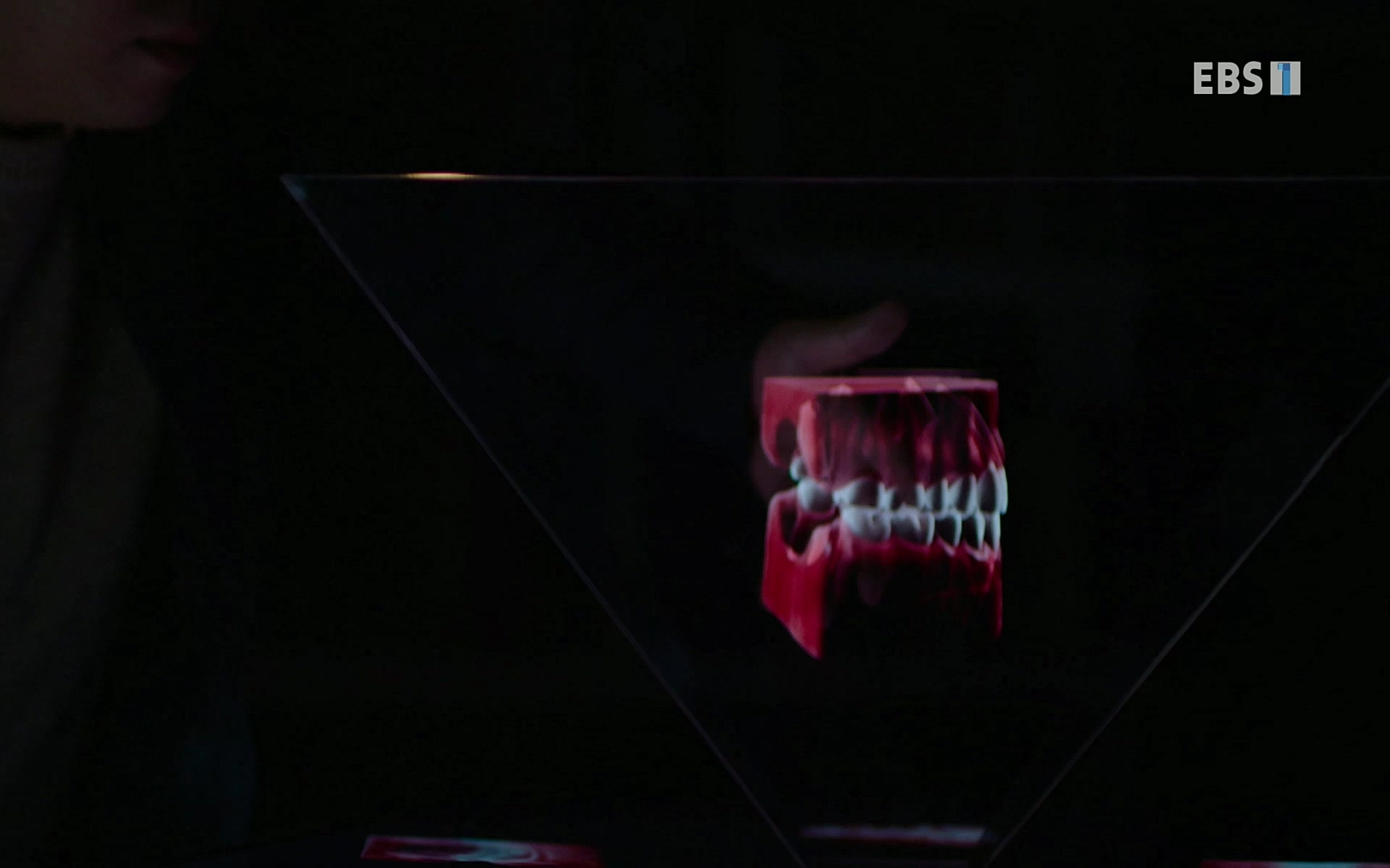 EBS 명의 헬스케어 - TV - 교육의 중심 EBS치주염이 코로나로 소홀해진 구강관리가 치아를 더 망가트리고 위험하게 만들며, 증상이 없기 때문에 특히 더 조심하고 치은염 단계에서 진행되지 않도록 예방해야한다 정의원 교수님과 치_20220505_151715.023.jpg