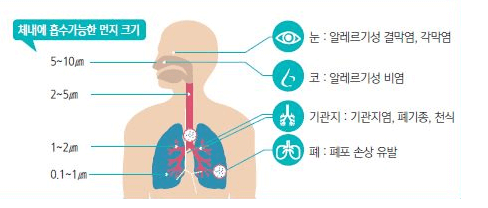 미세먼지와 초미세먼지의 차이점 초미세먼지 농도 확인 방법