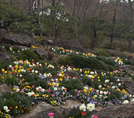 화담숲 모노레일 예매하기 