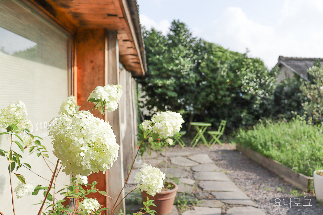 제주 카페 제주 카페 추천 제주 여행 제주도 여행 애월 카페 애월 카페 추천 예쁜 애월 카페 제주 예쁜 카페 나홀로 제주 제주 나홀로 제주여행 제주 나홀로 여행 제주 예쁜 카페 추천 애월 윈드스톤 애월 윈드스톤 제주 윈드스톤