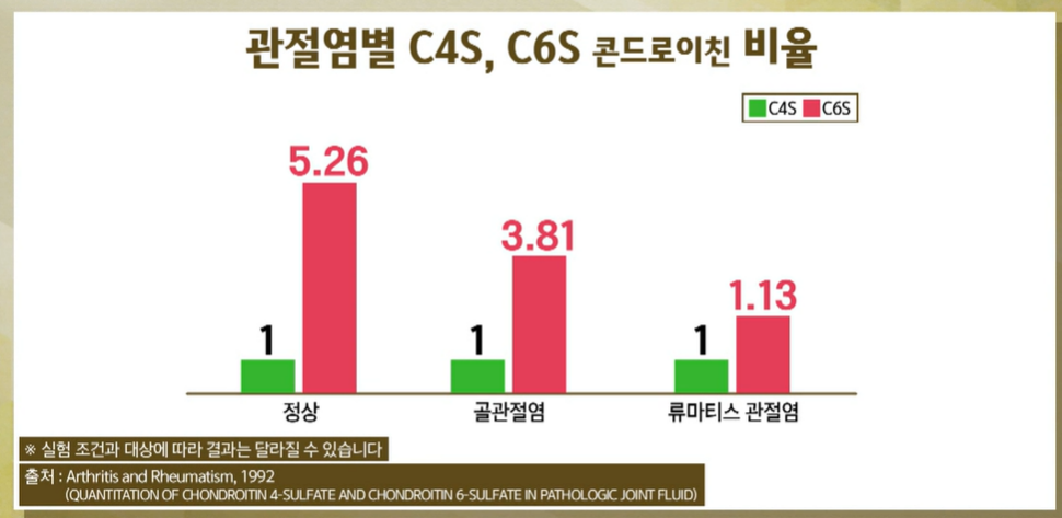 콘드로이친 효능