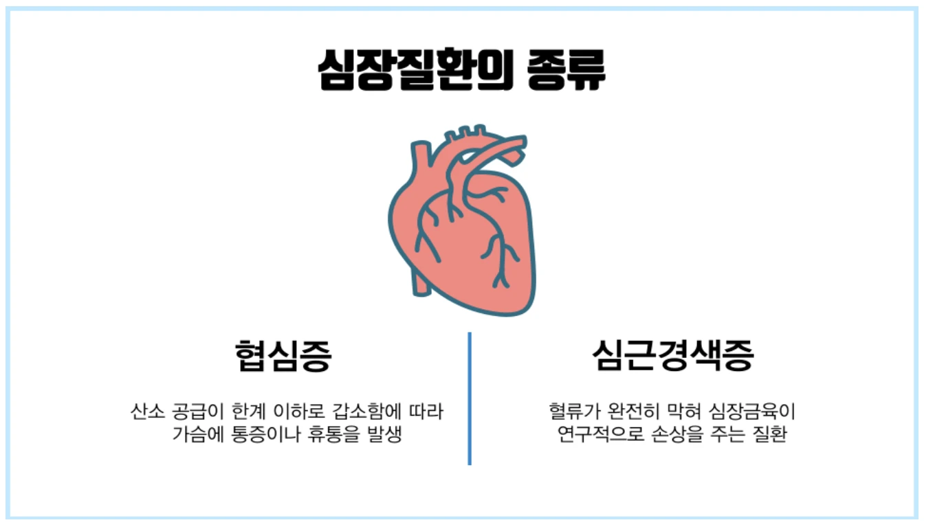심장질환 종류