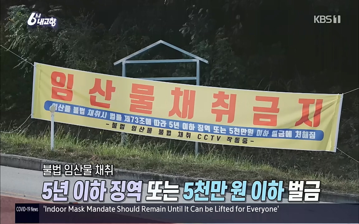 6시 내고향.E7630.221004p.H264-F1RST.mp4_20221004_203208.924.jpg