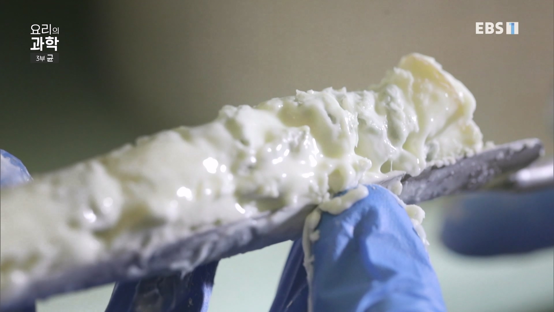 EBS 다큐프라임.201207.요리의 과학 - 3부 균0p.mp4_20240411_202634.160.jpg