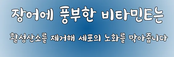  장어에 풍부한 비타민E는 활성산소를 제거해 세포의 노화를 막아줍니다