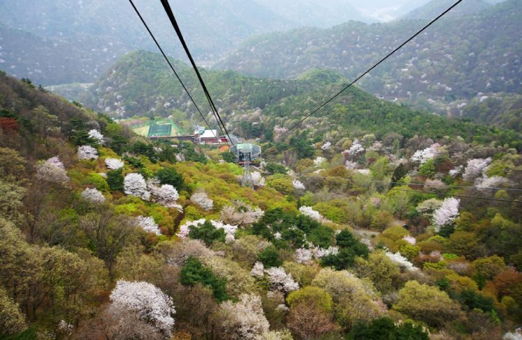 대둔산 케이블카