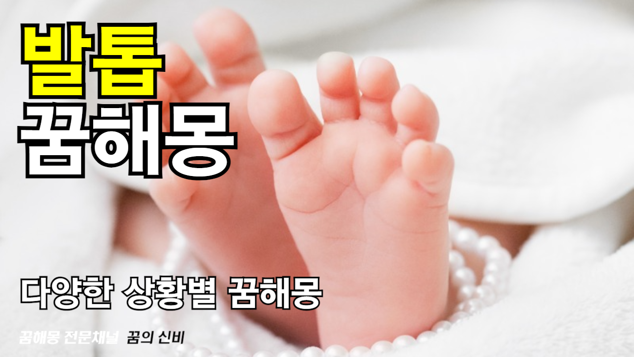 발톱 꿈 해몽 : 다양한 해석과 의미를 총정리!
