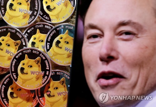  일론 머스크, 도지코인 고래설 부인... "특정 DOGE 지갑 소유자 아니라고 주장"