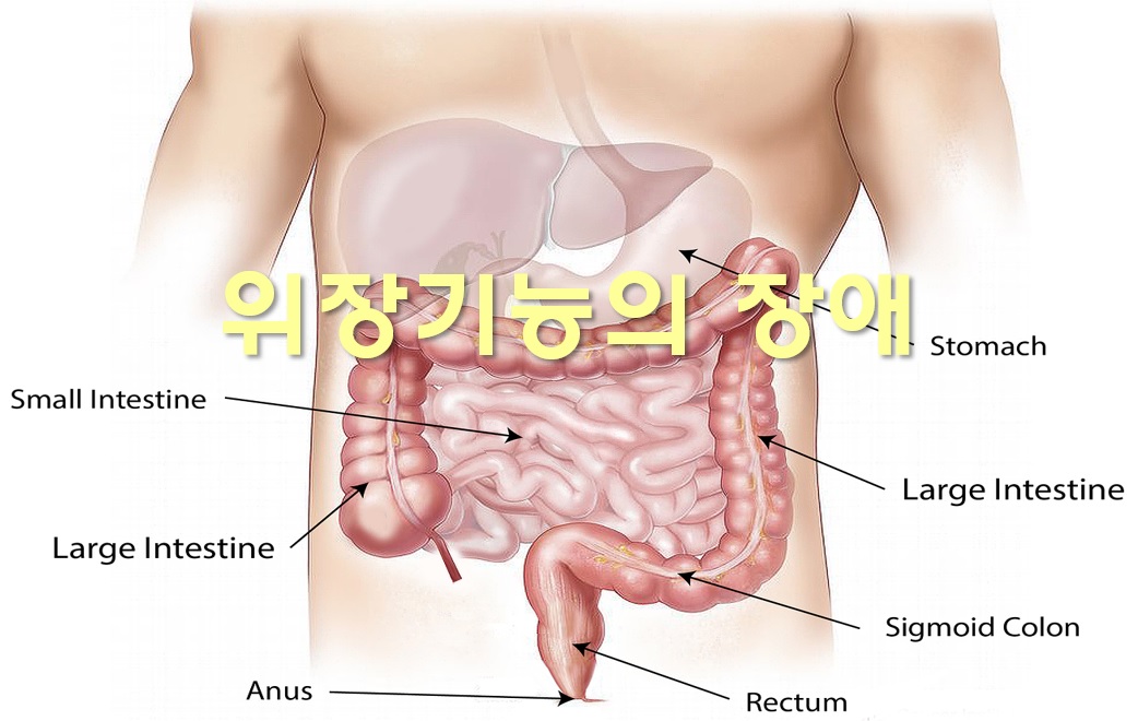  속이 더부룩하고 소화도 안되고 가스찬 증상