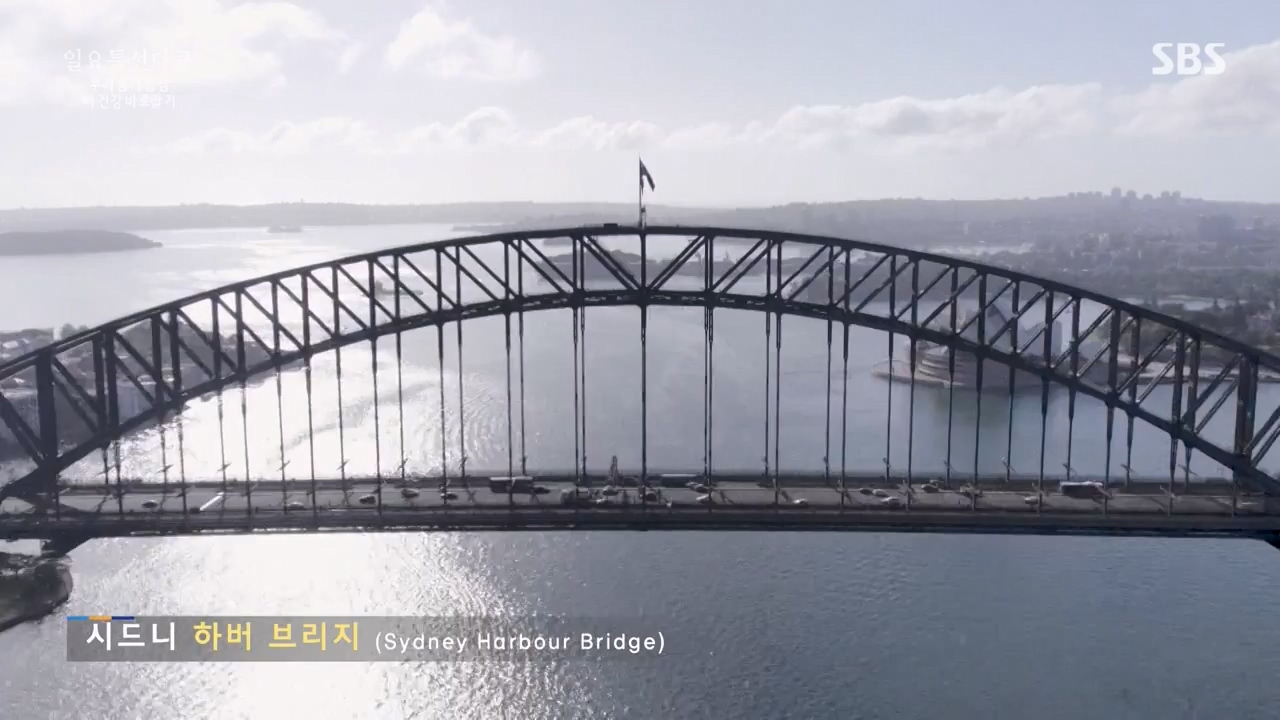 일요특선 다큐멘터리.E339.240205p-NEXT.mp4_20240206_205051.757.jpg