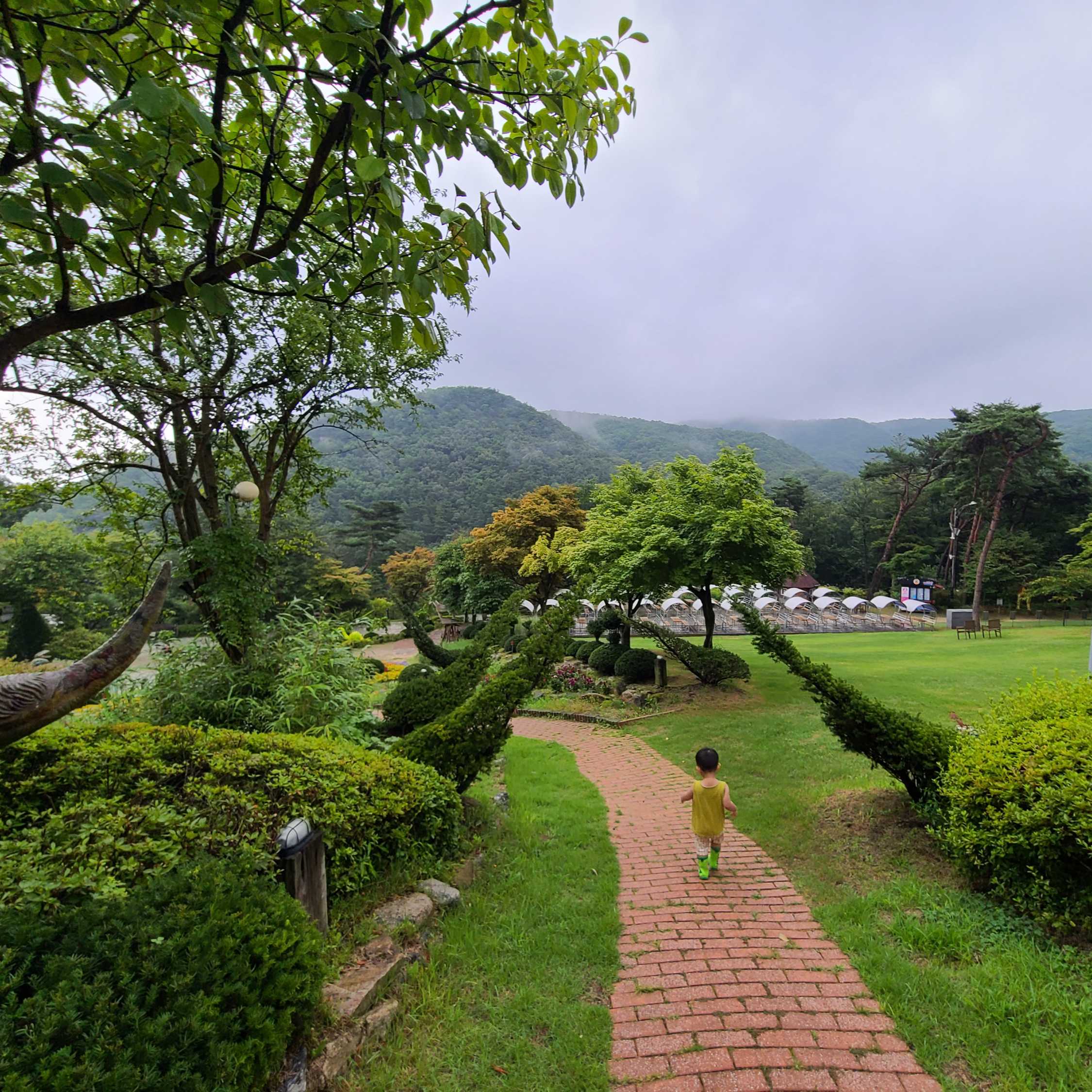 이천 덕평 공룡 수목원 넓은 잔디