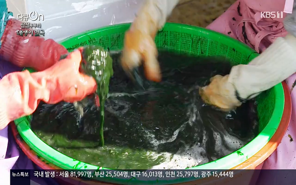 다큐 온.E131p-NEXT.mp4_20220319_173948.328.jpg