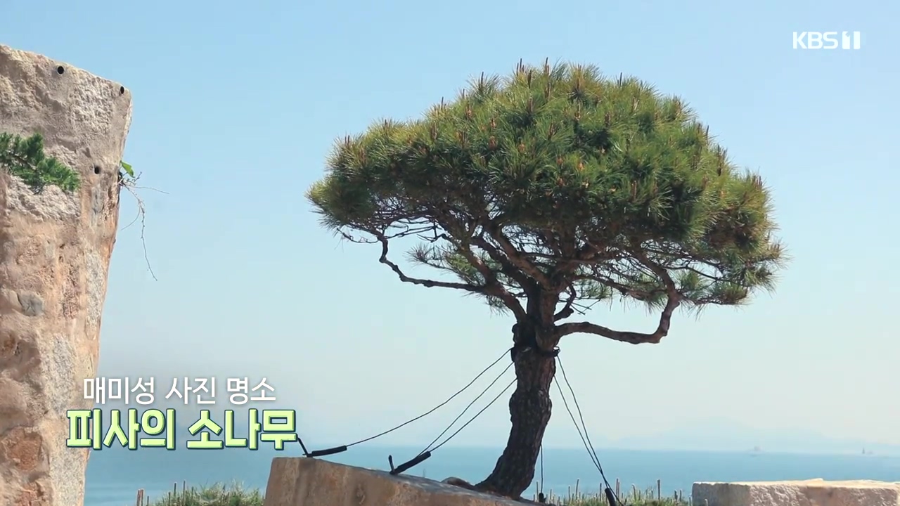 동네 한 바퀴.E273.240512p-NEXT.mp4_20240512_163616.224.jpg