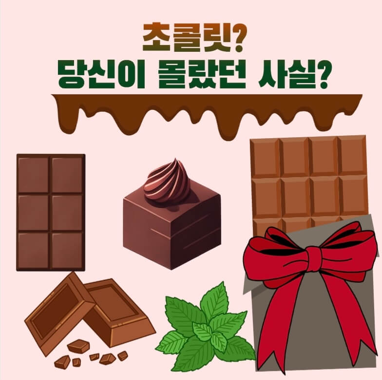 초콜릿? 당신이 몰랐던 진실!?