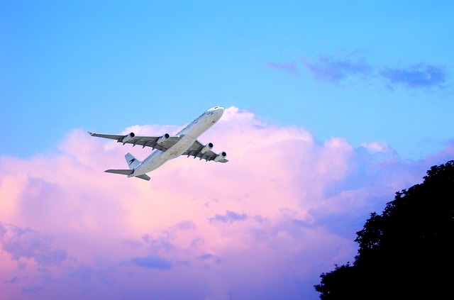 군산공항&harr;제주공항 비행기 항공 운항 시간표 군산공항 항공권 예약1