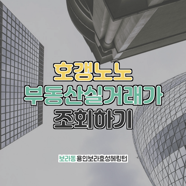  용인보라효성헤링턴 부동산실거래가 조회