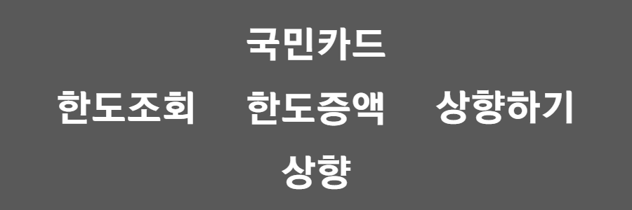 국민카드 한도증액 상향하기