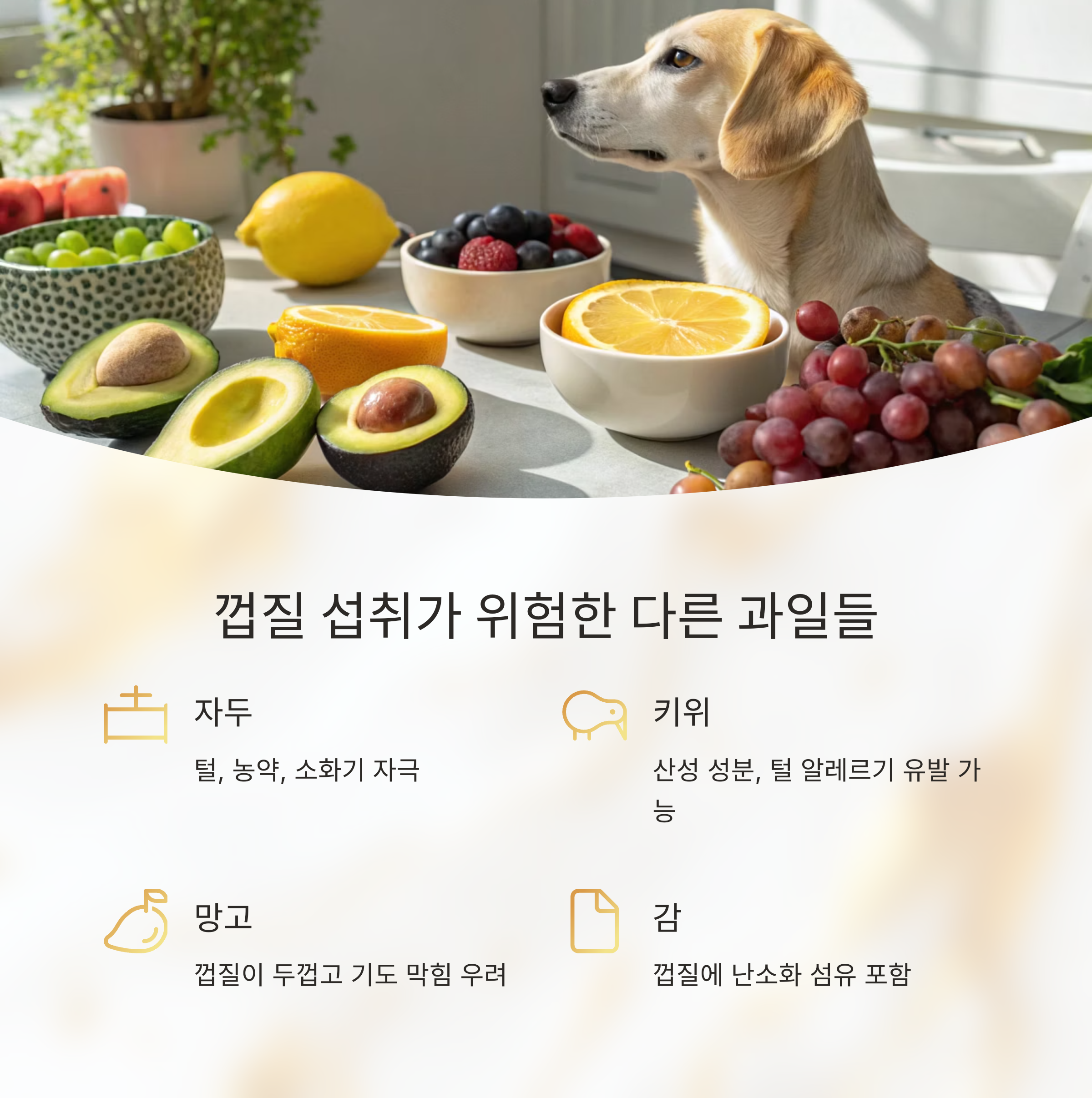위험한 과일