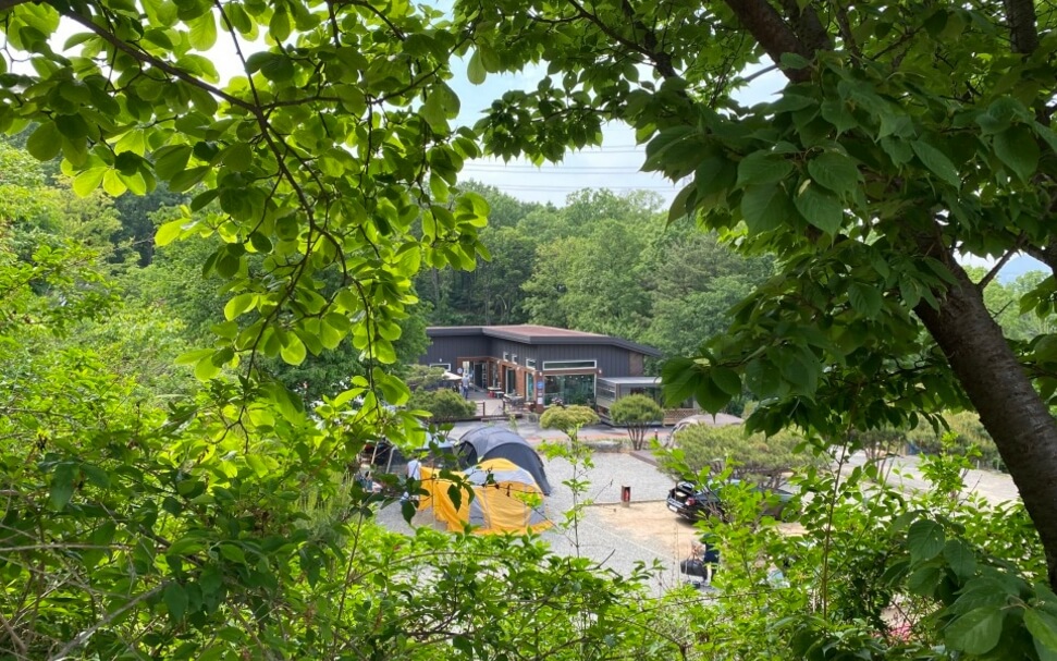 물왕숲캠핑파크-전경