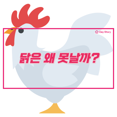  닭은 왜 하늘을 못날까?