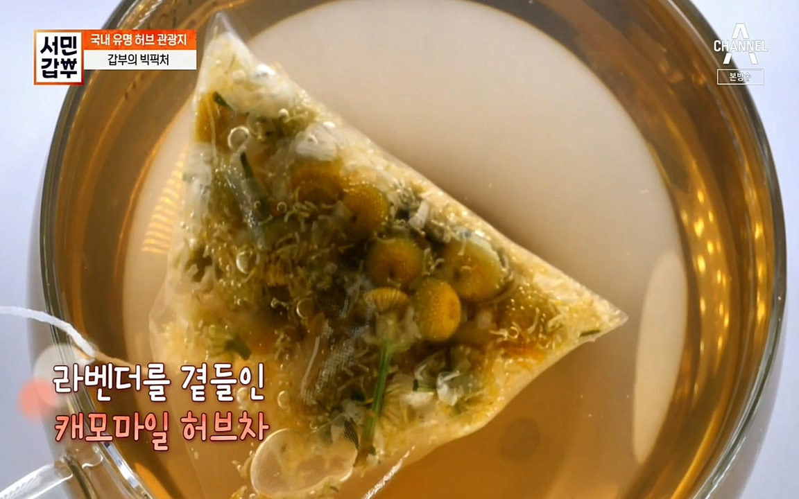 서민 갑부.E380.220424p-NEXT.mp4_20220424_184116.051.jpg