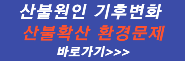 산불-원인-기후-변화-산불-확산-환경-문제