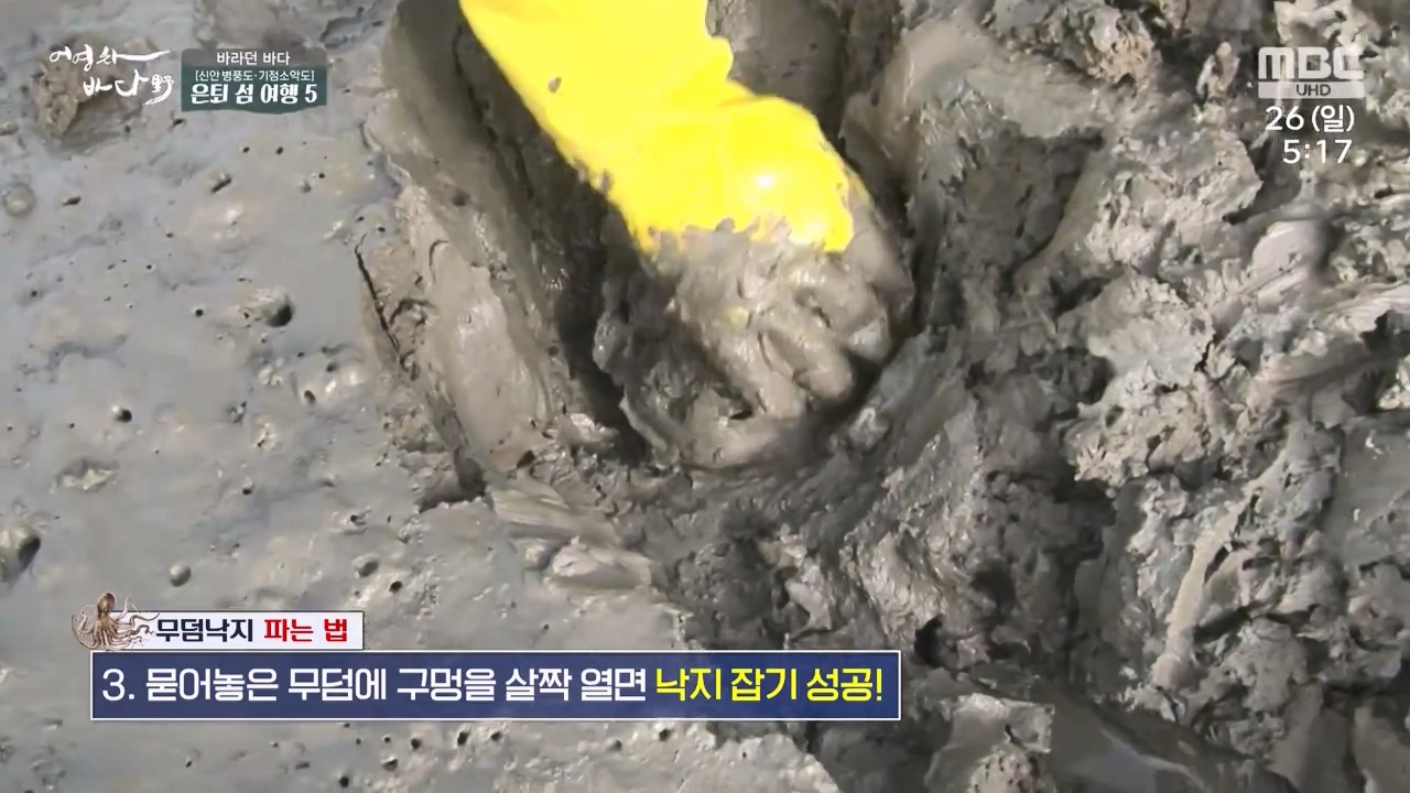 MBC 네트워크 특선 푸른백세 어영차 바다야.E1650.231127p-NEXT.mp4_20231202_165801.042.jpg