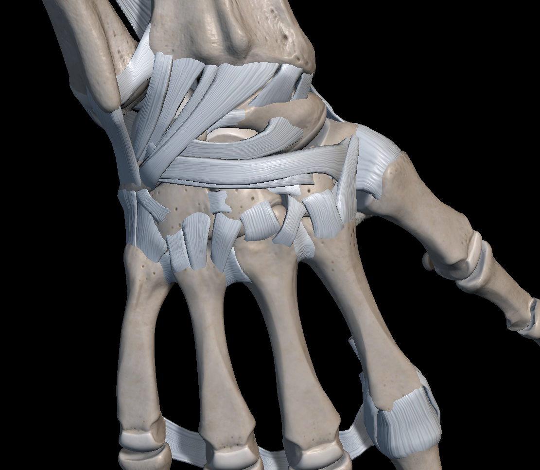 손목 인대 구조 파열 증상