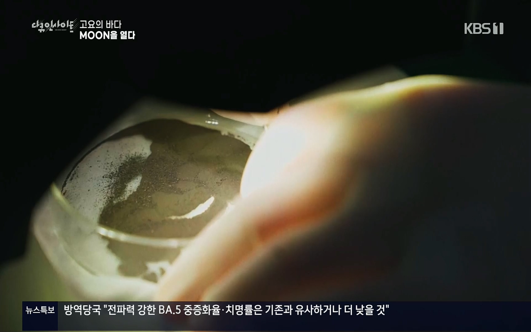 다큐 인사이트.E118.220728p.H264-F1RST.mp4_20220729_212220.871.jpg