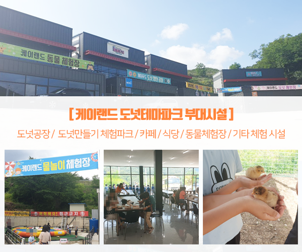 파파도넛 이미지