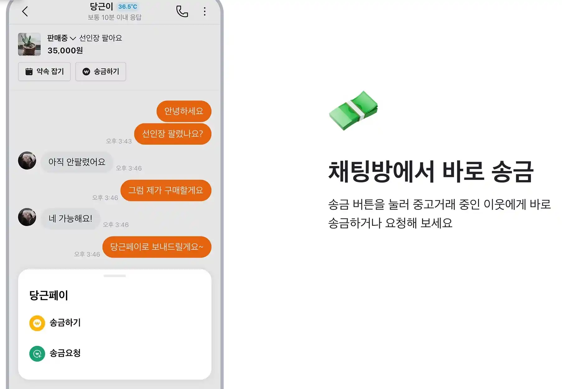 당근페이 택배 예약 기능