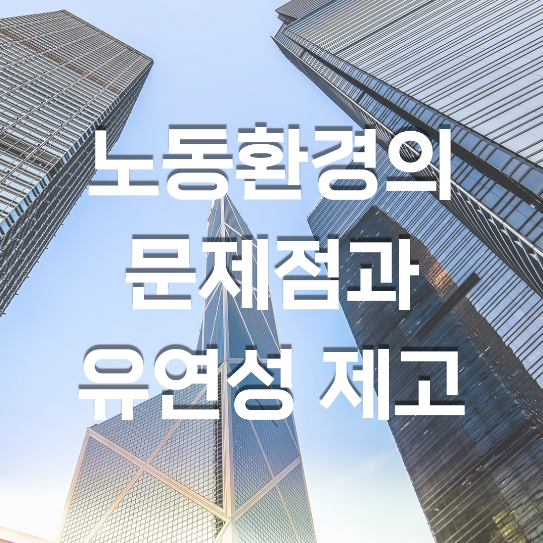  노동환경의 문제점과 유연성 제고방안