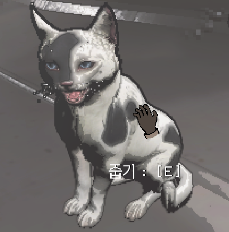 고양이