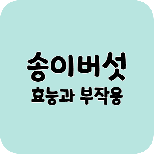 송이버섯의 효능과 부작용
