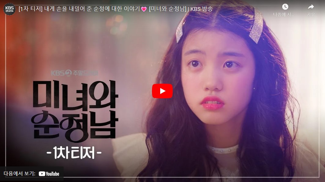 미녀와 순정남 등장인물 출연진 인물관계도 기본정보