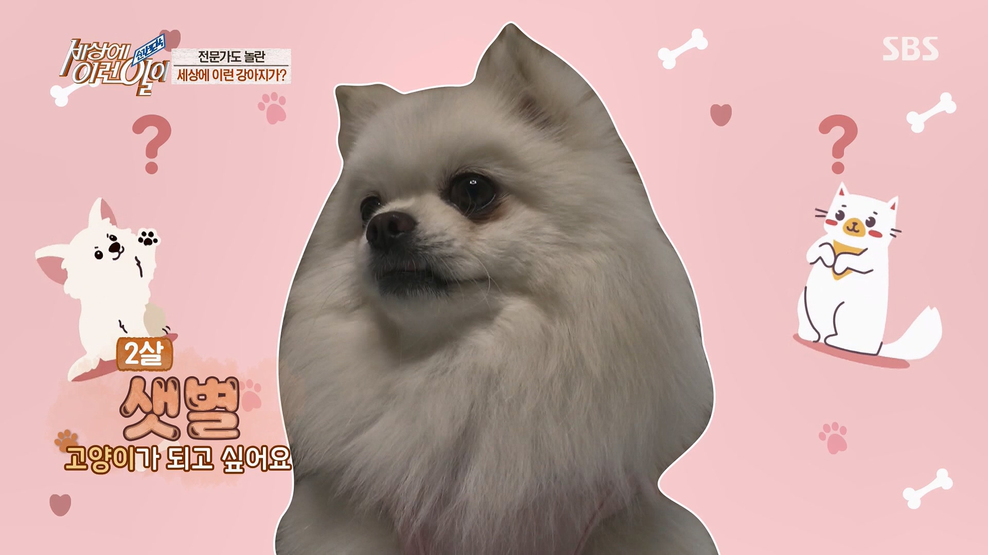 순간포착 세상에 이런일이.E1229.230509p.H264-F1RST.mp4_20230510_193133.169.jpg