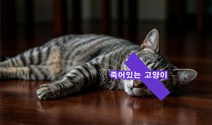 쓰러진-고양이