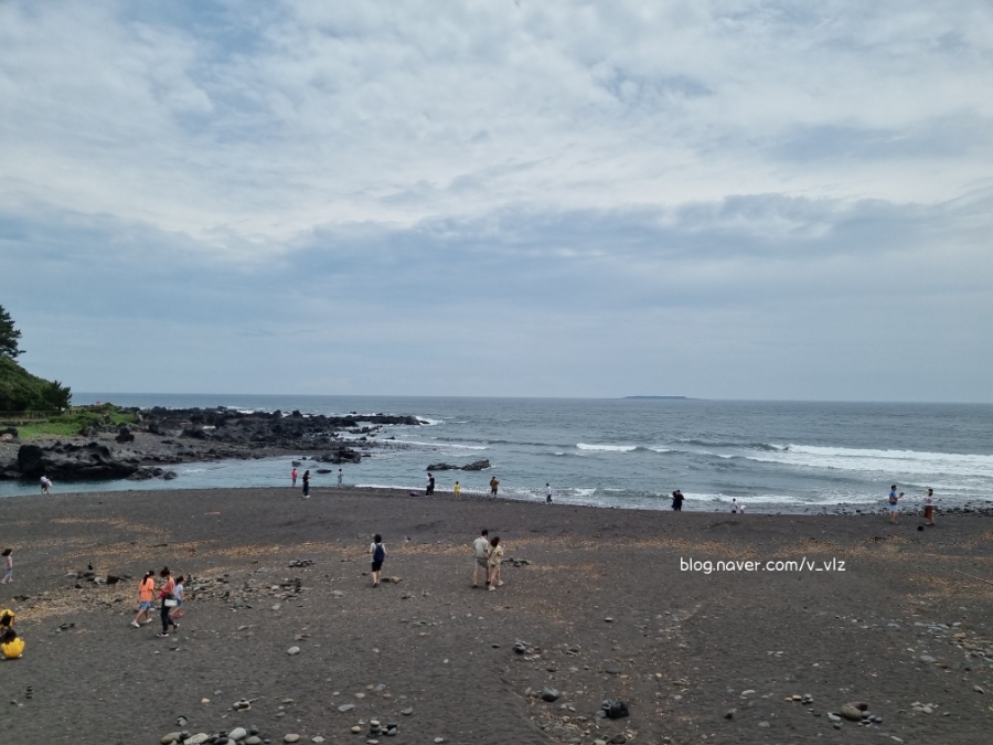 함께라면 전통테우 탑승 후기 제주 쇠소깍 어린 아이들과 40