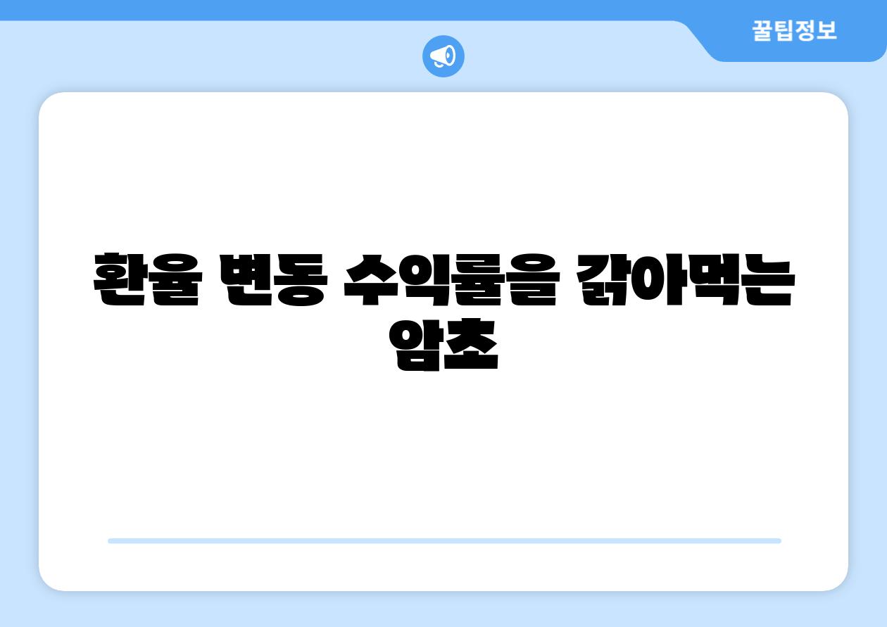 환율 변동 수익률을 갉아먹는 암초