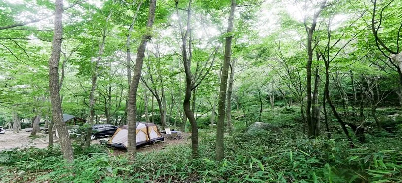 자연휴양림 예약정보시스템 바로가기 완벽 이용 가이드_3