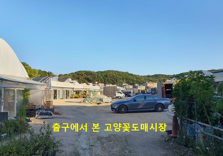 출구에서 본 고양꽃도매시장