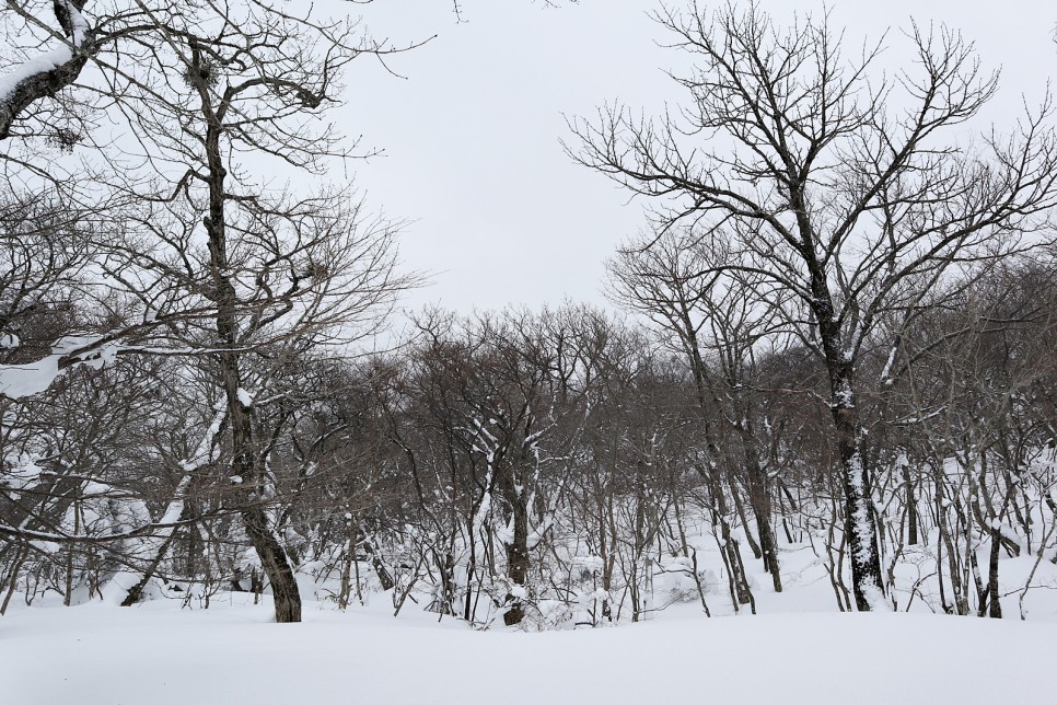 눈쌓인 겨울산 이미지 27