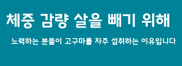 체중 감량 살을 빼기 위해 노력하는 분들이 고구마를 자주 섭취하는 이유입니다