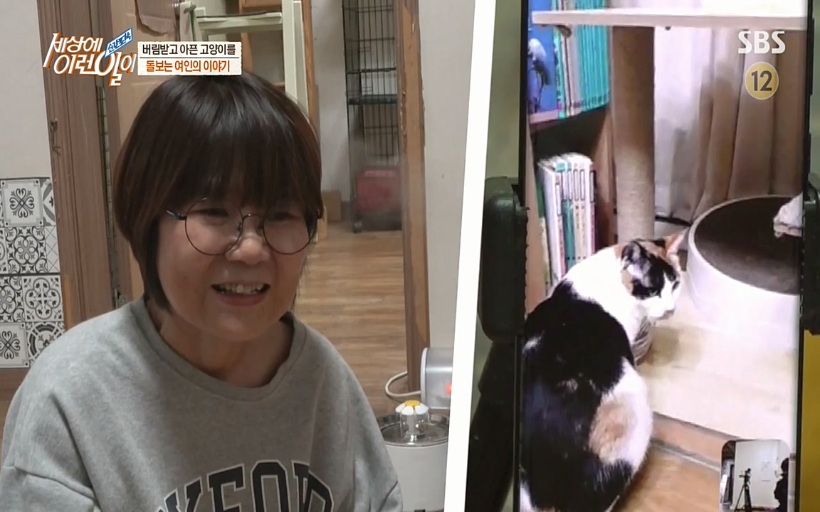 순간포착 세상에 이런일이.E1173.220330p-NEXT.mp4_20220330_174810.001.jpg