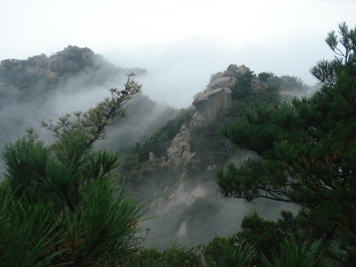  홍성 용봉산 [용봉초교~용봉산~덕산온천]