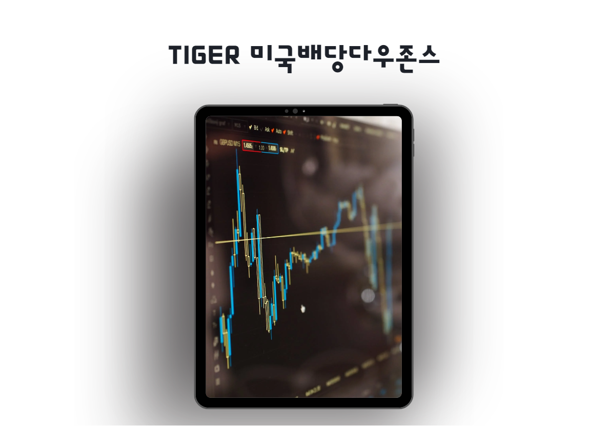  월배당 ETF - TIGER 미국배당다우존스